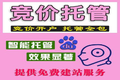 高效百度竞价推广运营技巧分享及成功案例